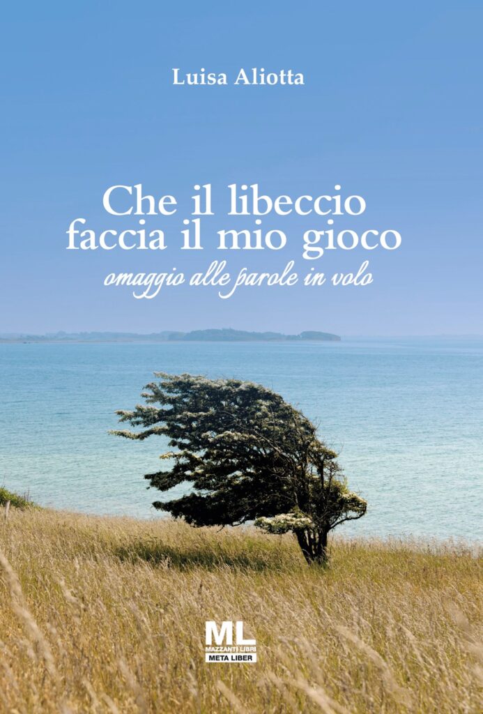 che il libeccio faccia il mio gioco