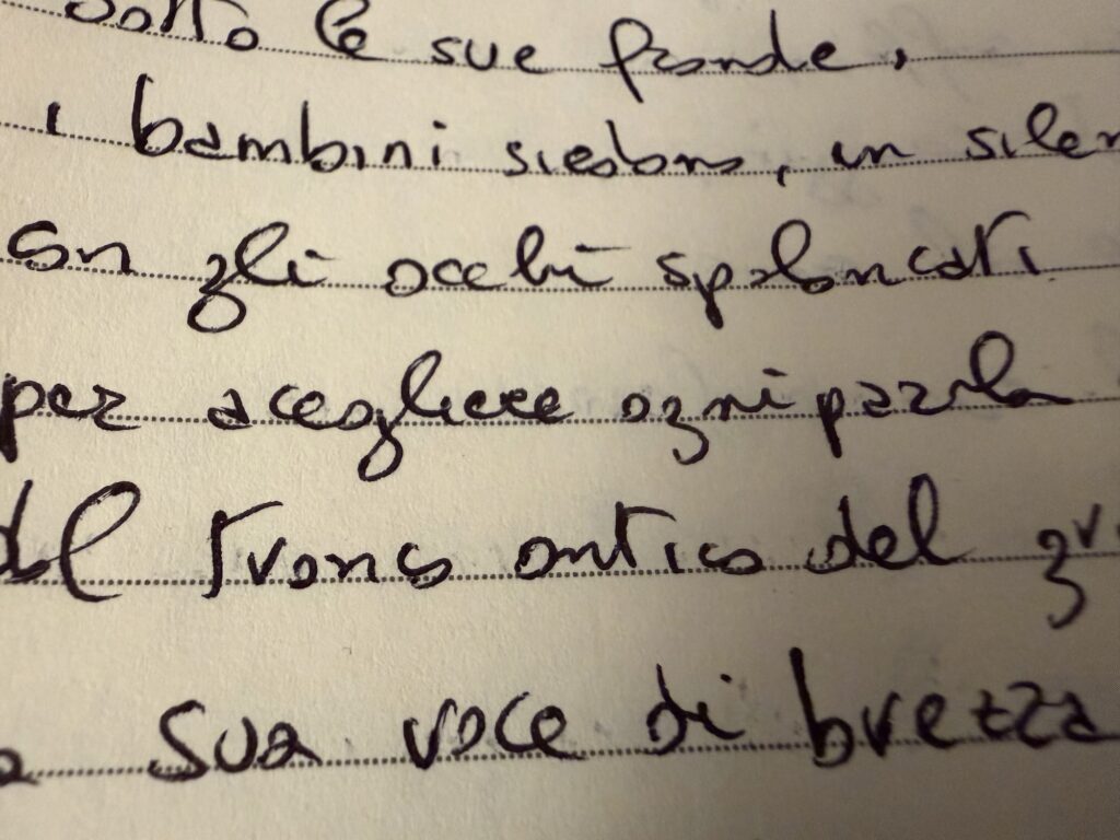 Il grande albero